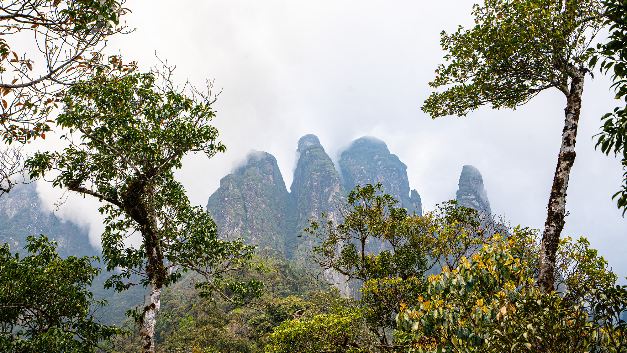 Trekking Ngũ Chỉ Sơn